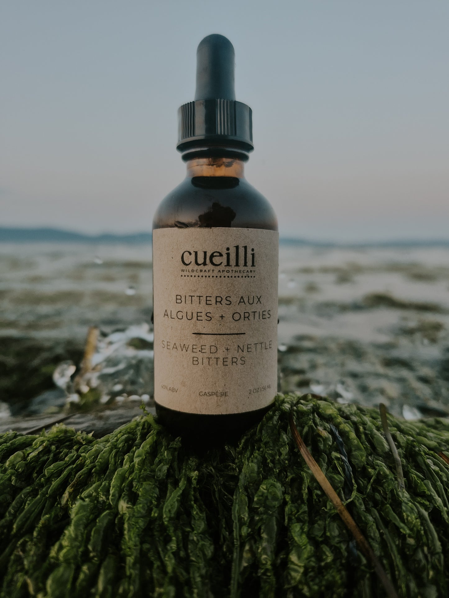 Bitters aux Algues + Orties | Seaweed + Nettle Bitters