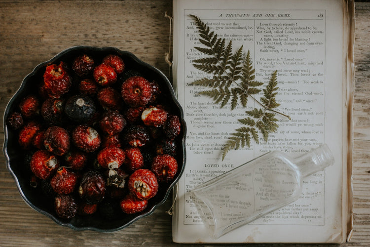 Ateliers | Workshops