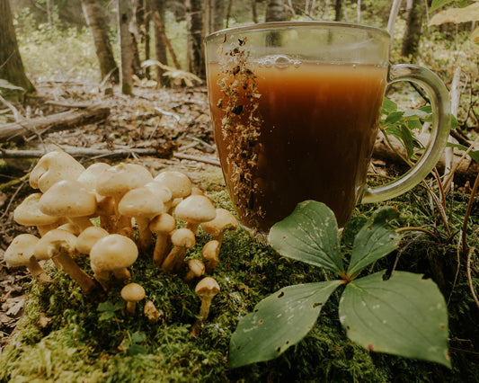 Atelier Chai de racines et de baies | Roots and Berries Chai Workshop October 26, 2025