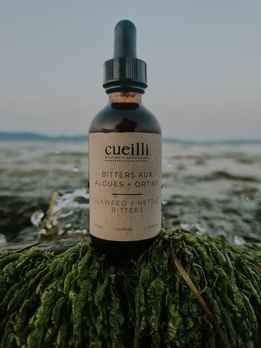 Bitters aux Algues + Orties | Seaweed + Nettle Bitters