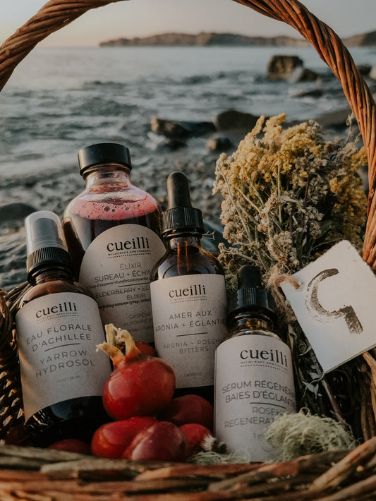 Atelier Cadeaux botaniques | Botanical Gifts Workshop - Dec 3, 2025