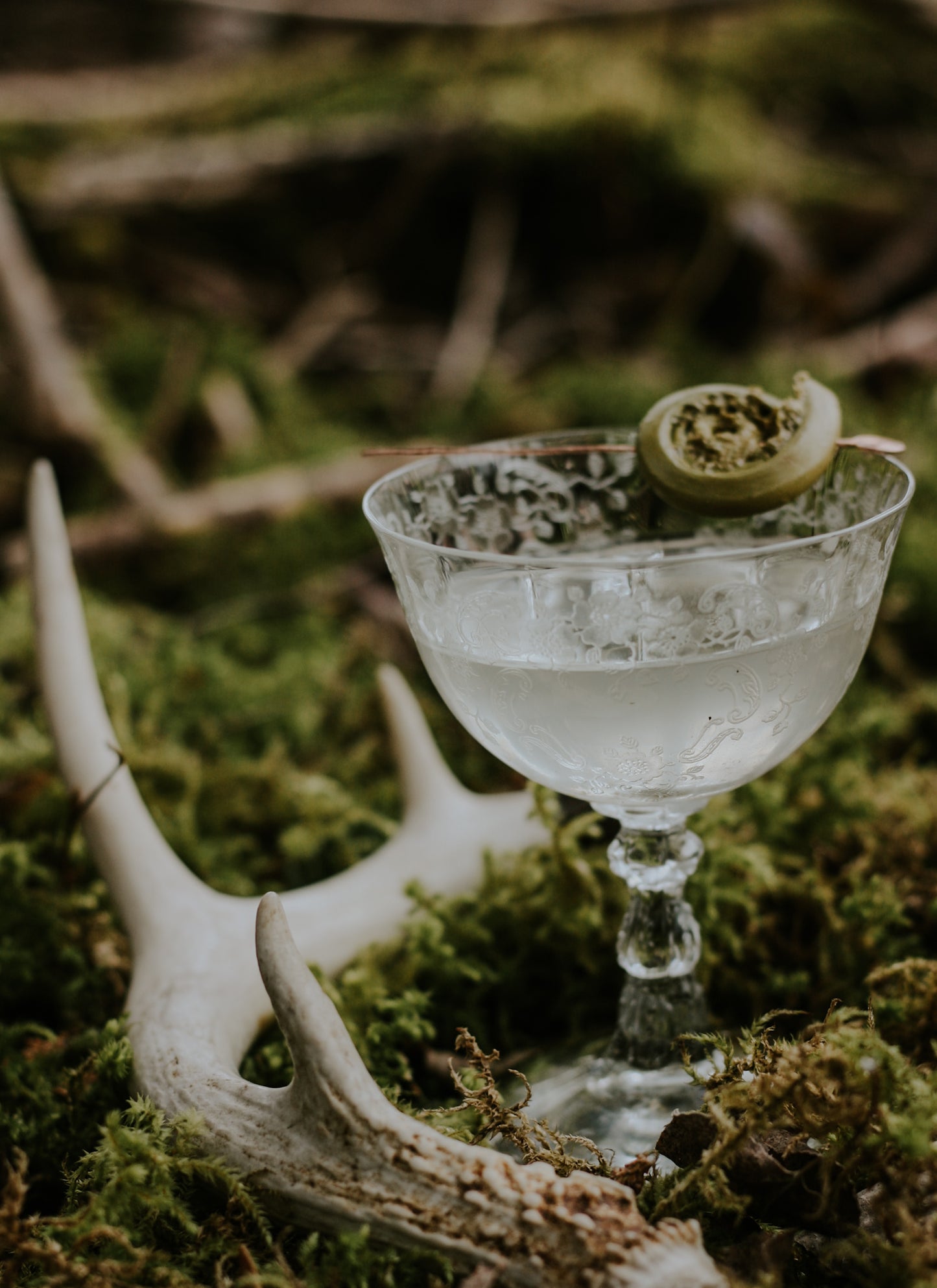 Twisted Fern Martini Kit